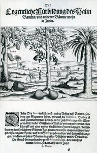 Paesaggio, illustrazione da 